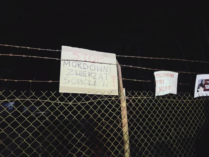 Burza wokół schroniska „Happy Dog”. Protestujący żądają jego likwidacji