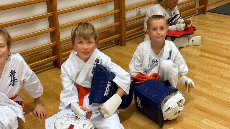 Seminarium, warsztaty i kumie. Karate w walce z przemocą i agresją1